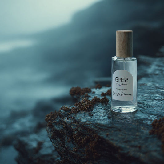 Spray - Breizh Marine