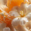 Recharge - Collection « Jardin de Bahia »