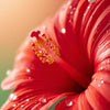 Diffuseur - Collection « Jardin de Bahia »