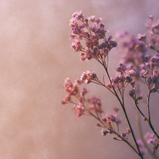 Spray - Violette Sauvage